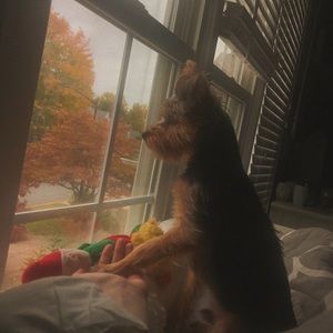 Meet your Posher, Barbara